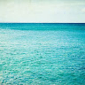 Meet your Posher, Oscar